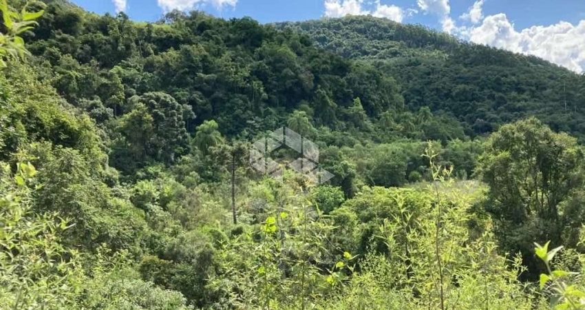 Chácara / sítio à venda na Stille Eck, 3000, Zona Rural, Nova Petrópolis