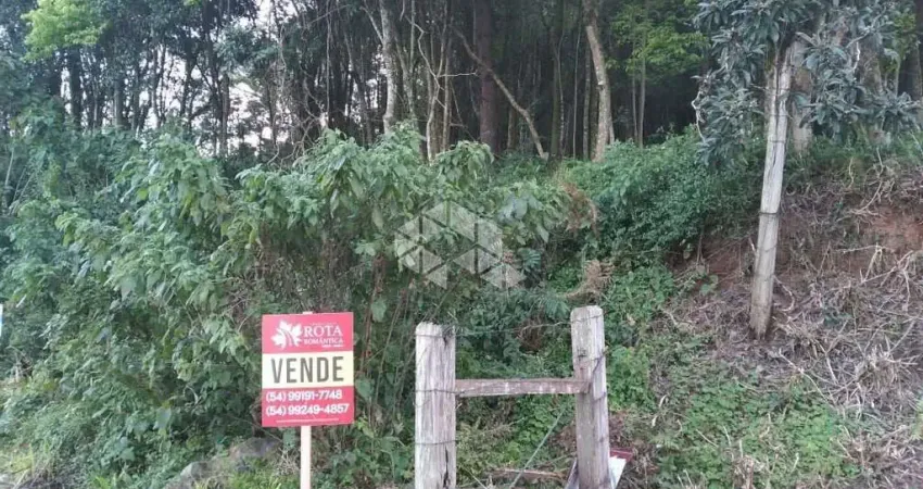 Terreno à venda na Felippe Michaelsen, 500, Linha Olinda, Nova Petrópolis
