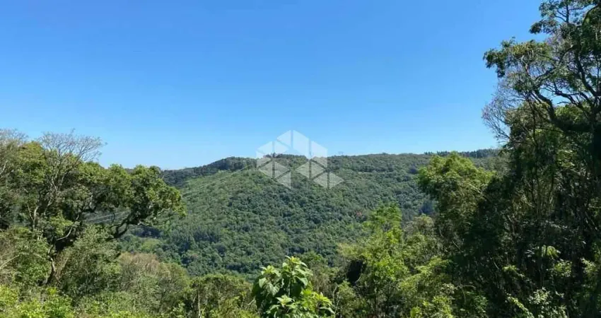 Chácara / sítio à venda na 13 colonias, 2000, Zona Rural, Nova Petrópolis