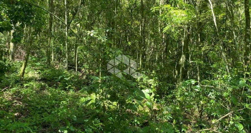 Chácara / sítio à venda na Ackermann, 7500, Zona Rural, Nova Petrópolis