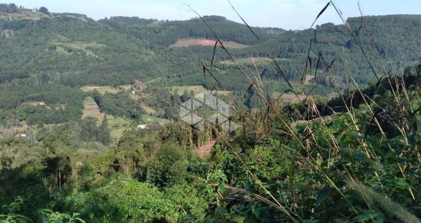 Chácara / sítio à venda na dos Ackermann, 7501, Zona Rural, Nova Petrópolis