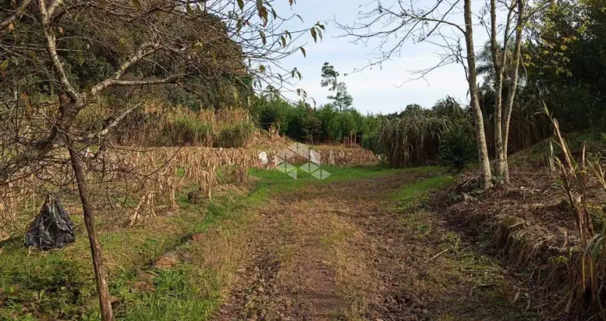 Chácara / sítio à venda na das Três Marias, 100, Bavária, Nova Petrópolis