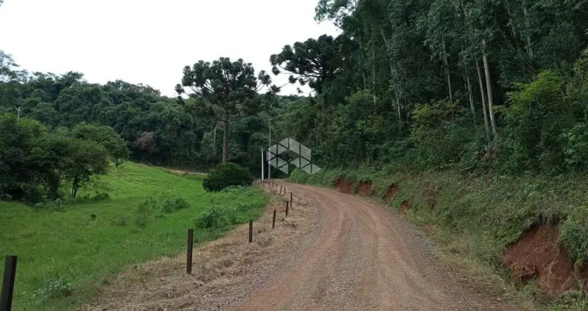Chácara / sítio à venda na Nicolau Weber, 1, Pinhal Alto, Nova Petrópolis
