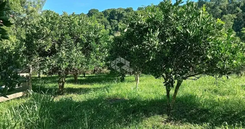 Chácara de 8000m² no interior de Nova Petrópolis no distrito de Pinhal Alto, serra gaúcha.