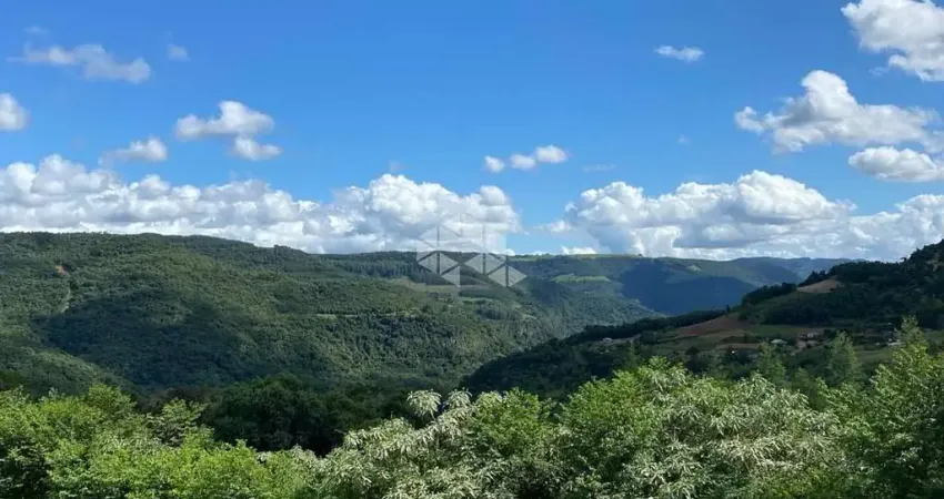 Chácara / sítio com 3 quartos à venda na Boa Vista, 800, Pinhal Alto, Nova Petrópolis