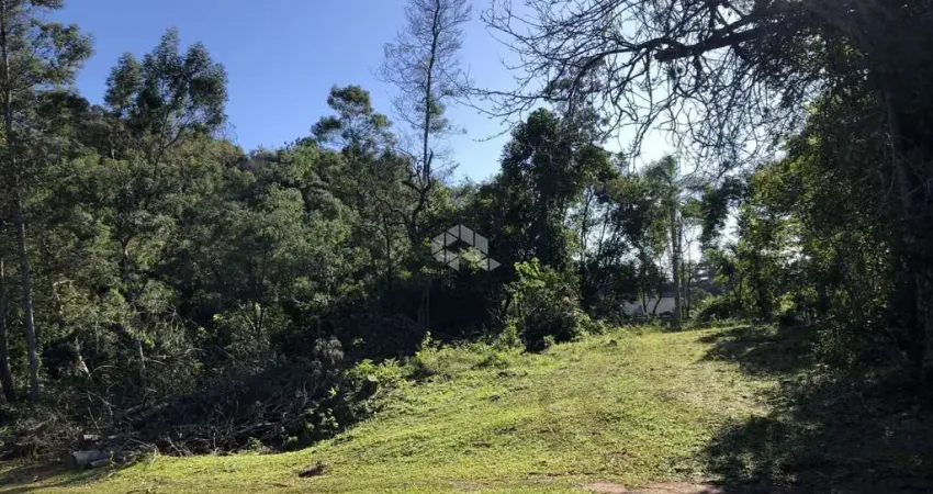 Chácara / sítio à venda na Otto, 10, Vila Germania, Nova Petrópolis