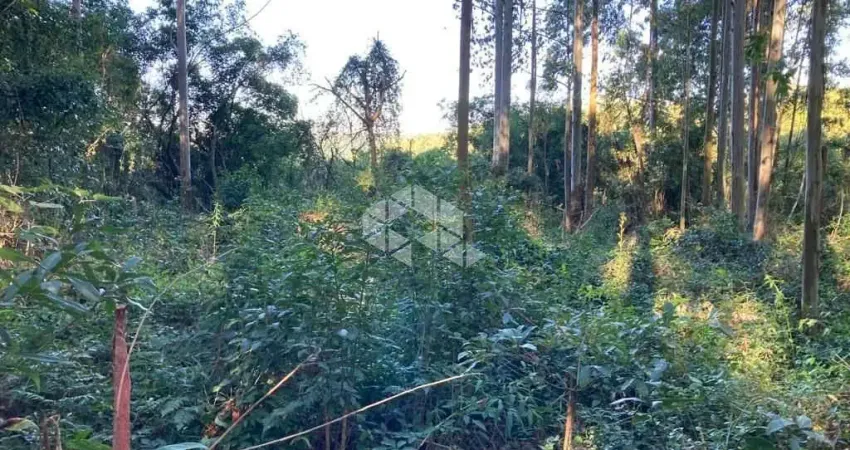 Chácara / sítio à venda na Stille Eck, 1500, Vila Olinda, Nova Petrópolis