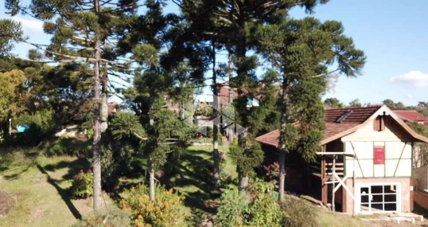 Terreno à venda na Ipiranga, 2, Centro, Nova Petrópolis