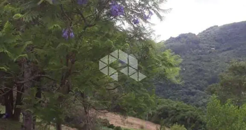 Chácara / sítio à venda na da Pedreira, 1500, Fazenda Pirajá, Nova Petrópolis