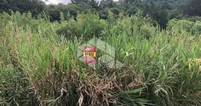 Terreno amplo e plano em frente ao asfalto localizado a poucos metros do centro e de fácil acesso à BR 116.