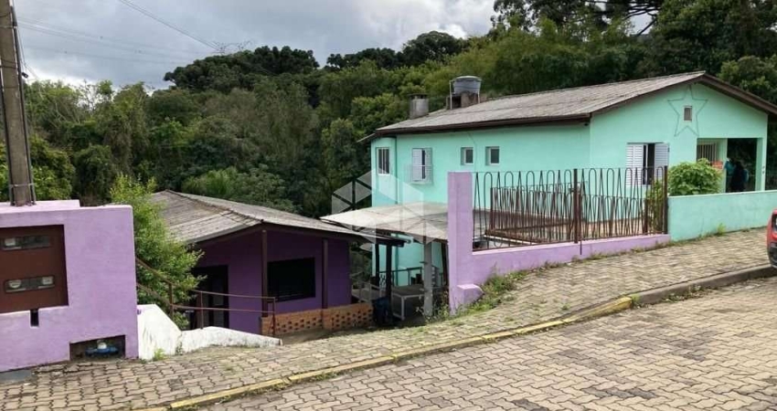 Casa com 4 quartos à venda na dos Cinamomos, 173, Vale Verde, Nova Petrópolis