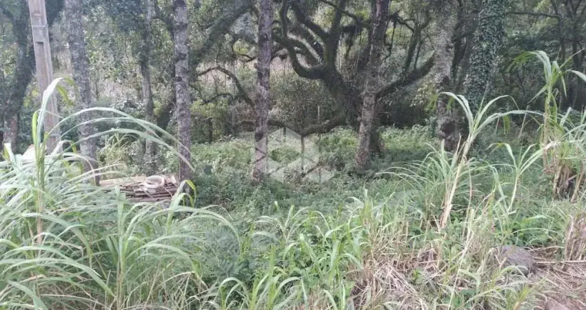 Terreno à venda na São Jacó, 6, Bavária, Nova Petrópolis