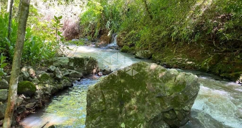 Chácara / sítio à venda na Akcermann, 7000, Bavária, Nova Petrópolis