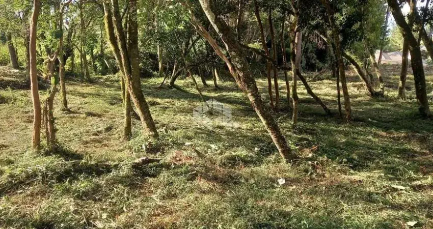 Terreno à venda na Alberto Lamberty, 100, Vila Germania, Nova Petrópolis