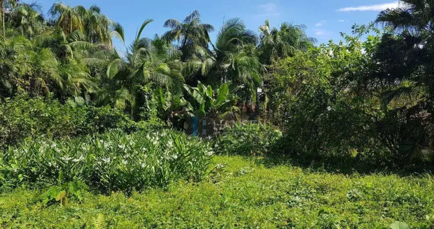 Terreno à venda, 3464 m² por R$ 2.100.000,00 - Centro (Pirabeiraba) - Joinville/SC