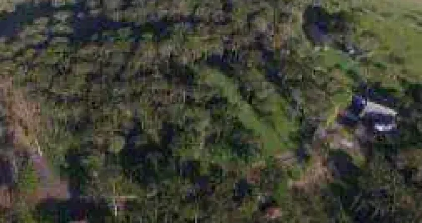 Terreno à venda, 20.000 m² por r$ 440.000 - são miguel - campo alegre/sc