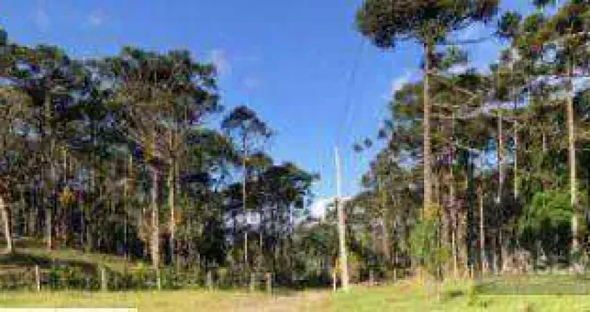 Terreno à venda, 20.000 m² por r$ 440.000 - são miguel - campo alegre/sc