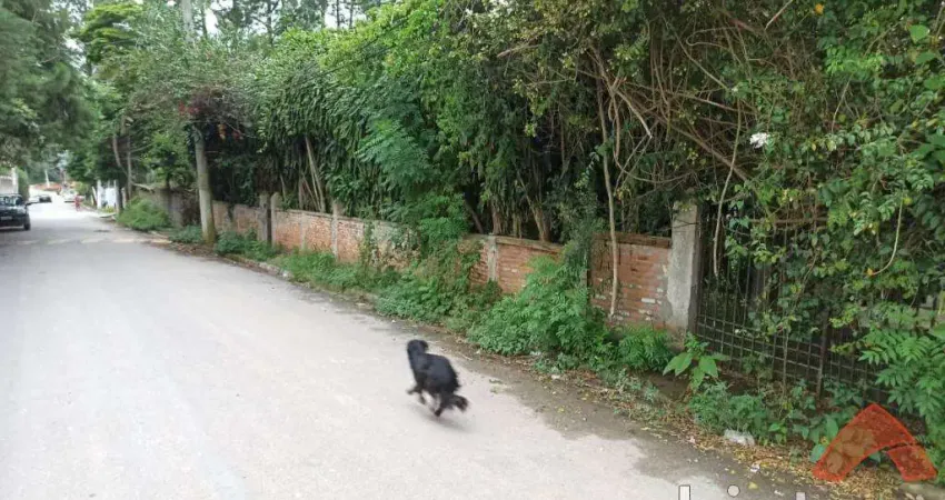 Chácara de 10.150 m² Jardim Santa Rita - Embu das Artes, à venda por R$ 4.100.000