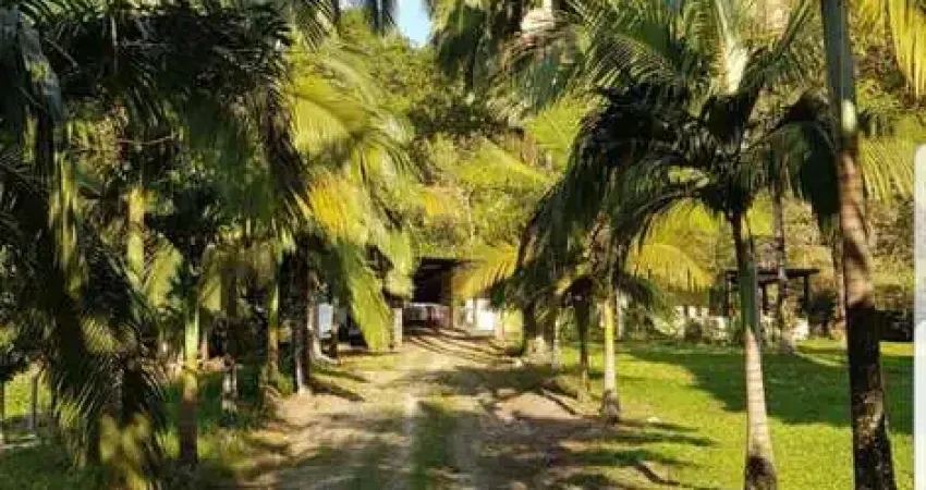 SÍTIO / FAZENDINHA – 9,3 HECTARES DE PURA NATUREZA - RUA SETE BARRAS - NOSSA SENHORA  DO Ó - SP