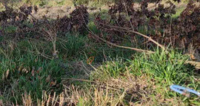 Terreno à venda, 350 m² por R$ 104.900,00 - Faguense - Frederico Westphalen/RS