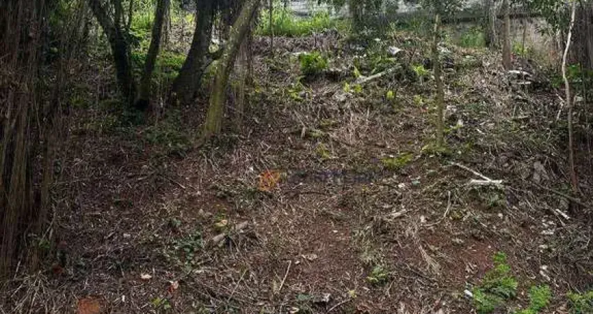Terreno à venda, 290 m² por R$ 310.000,00 - Jardim Virginia Bianca - São Paulo/SP