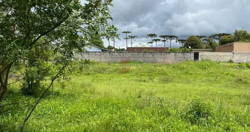 Terreno comercial à venda na Rua Luíza Furlan Berlesi, 137, Canguiri, Colombo