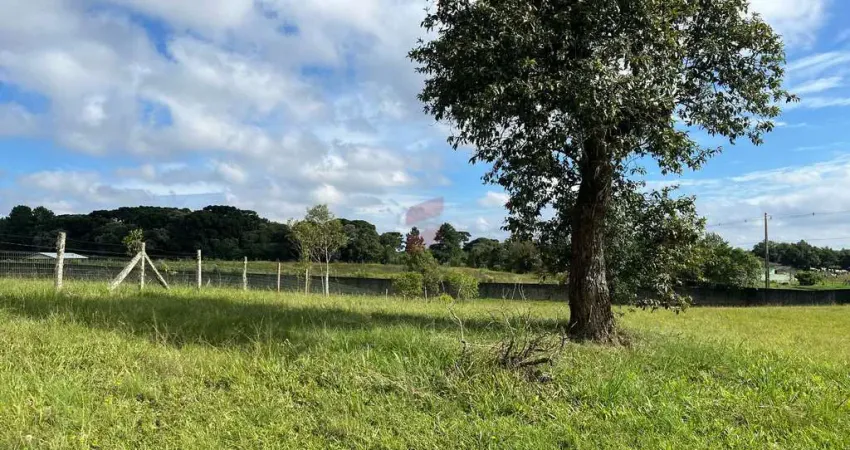 Terreno à venda na Rua Padre Phelippe Ledet, s/n, Planta Laranjeiras, Piraquara