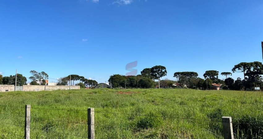 Terreno à venda na Rua Renato Nunes Ribas, 249,293, Centro, Pinhais