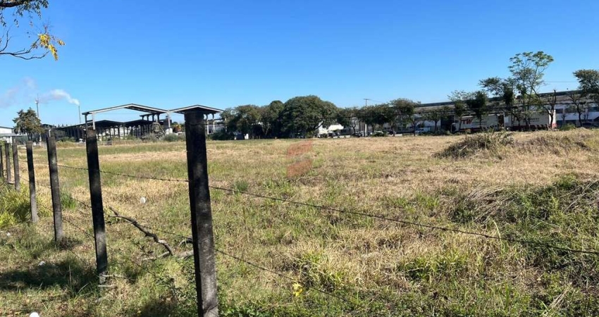 Terreno comercial para alugar na Rua Umuarama, 280, Emiliano Perneta, Pinhais