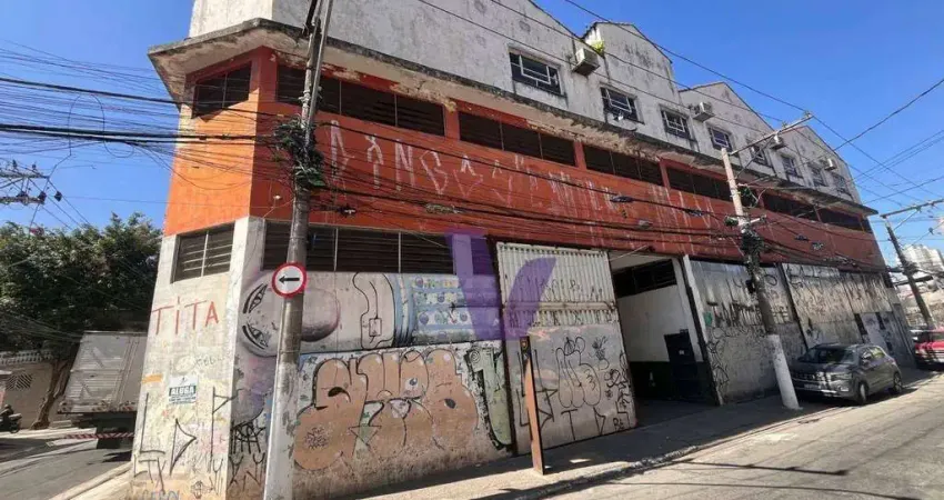 Galpão para alugar, 900 m² por r$ 40.000/mês - vila palmeiras - são paulo/sp