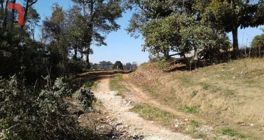 Terreno à venda, 5000 m² por R$ 449.000,00 - Arruda - Colombo/PR