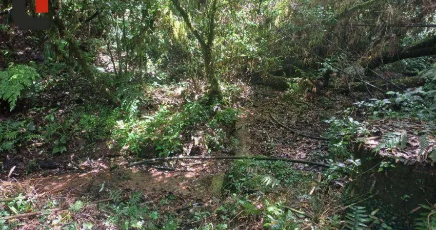 Chácara com 1 dormitório à venda, 63200 m² por r$ 700.000,00 - bateias - campo largo/pr