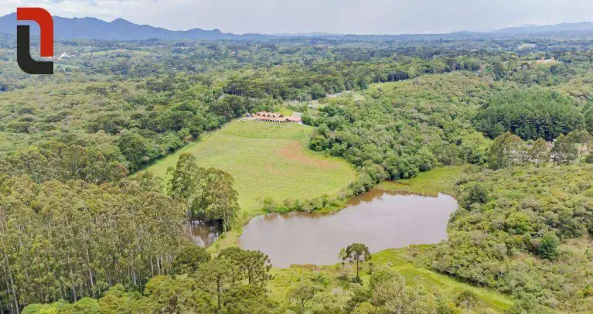 Área à venda, 39051 m² por r$ 5.600.000,00 - vila fuck - piraquara/pr