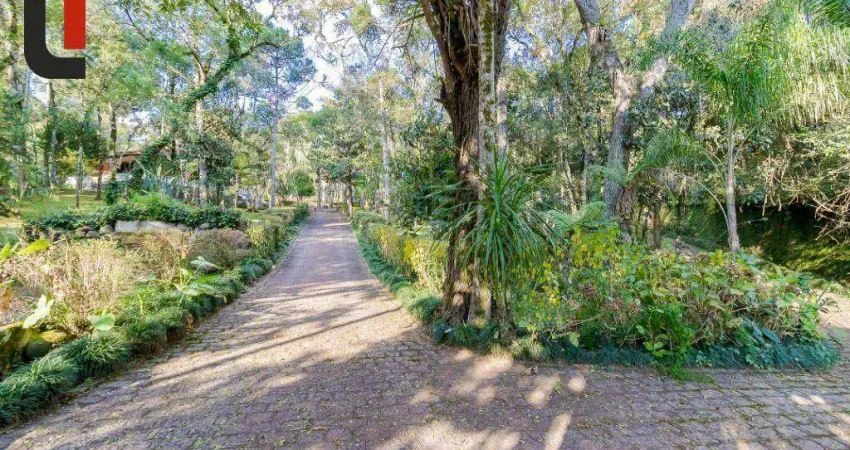 Chácara com 3 dormitórios, 36664 m² - venda por r$ 2.800.000,00 ou aluguel por r$ 13.000,00/mês - bateias - campo largo/pr