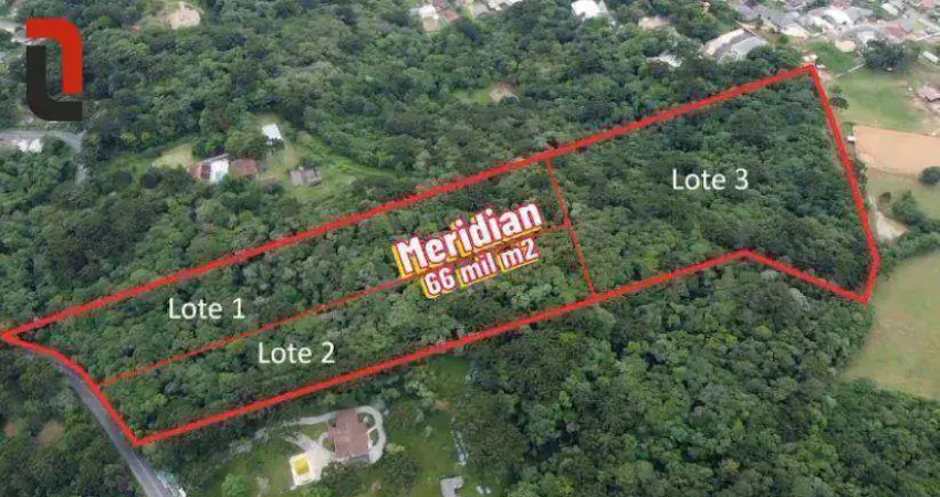 Terreno à venda, 66589 m² por r$ 4.900.000,00 - ferraria - campo largo/pr