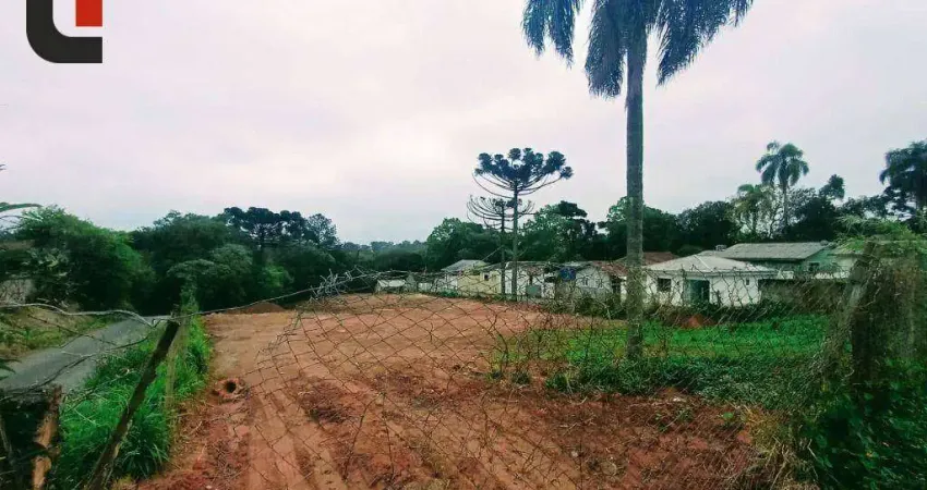Terreno à venda, 4260 m² por r$ 2.300.000,00 - santa cândida - curitiba/pr