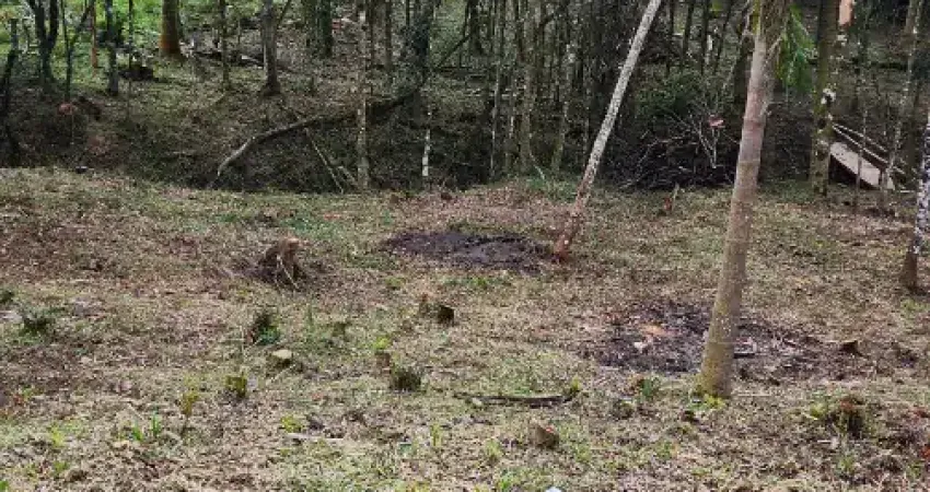 Chácara a venda na roseira divisa de colombo com campina grande do sul