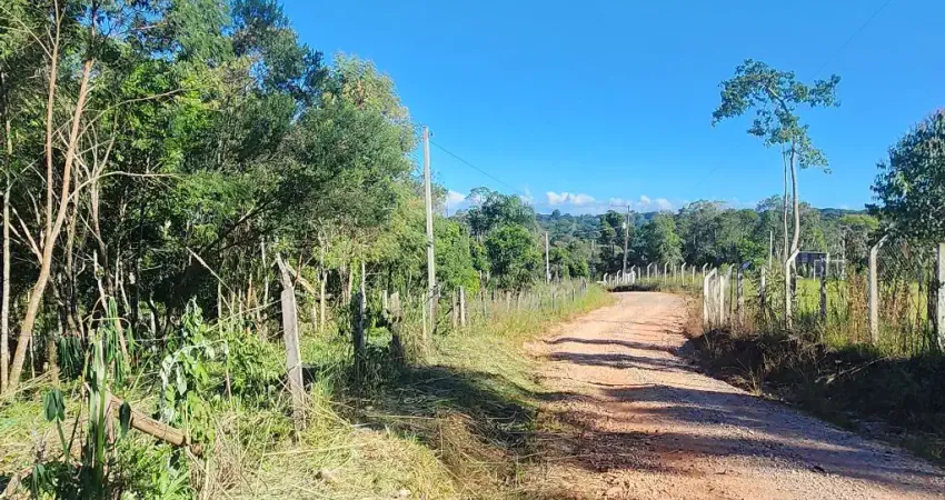 Terreno à venda na Rua Antônio Rosenente Netto, São Dimas, Colombo