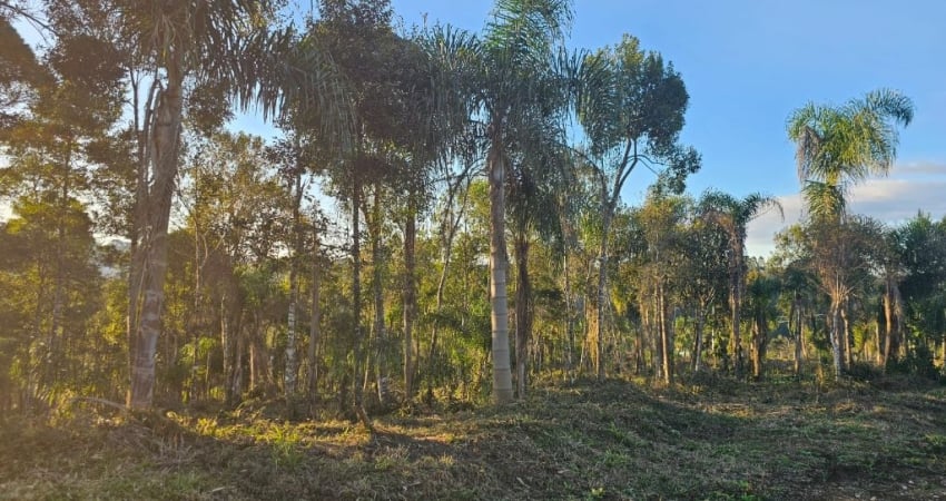 Belíssima Área na Roseira divisa de Colombo com Campina Grande do Sul