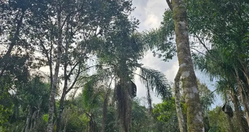 Belíssima área a venda roseira - divisa de colombo com campina grande do sul