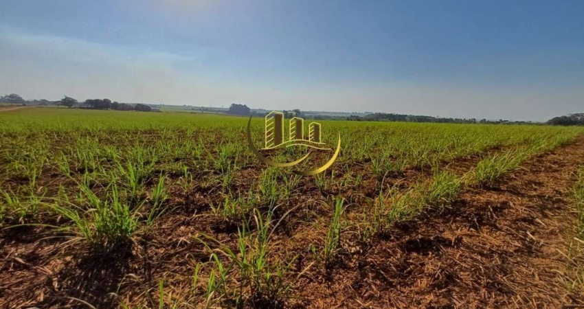Terreno à venda em Nova Odessa-SP, bairro Jardim das Palmeiras I, com 48.400m² de área! Aproveite essa oportunidade única!