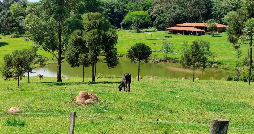 Chácara / sítio com 4 quartos à venda na Zona Rural, Botucatu 
