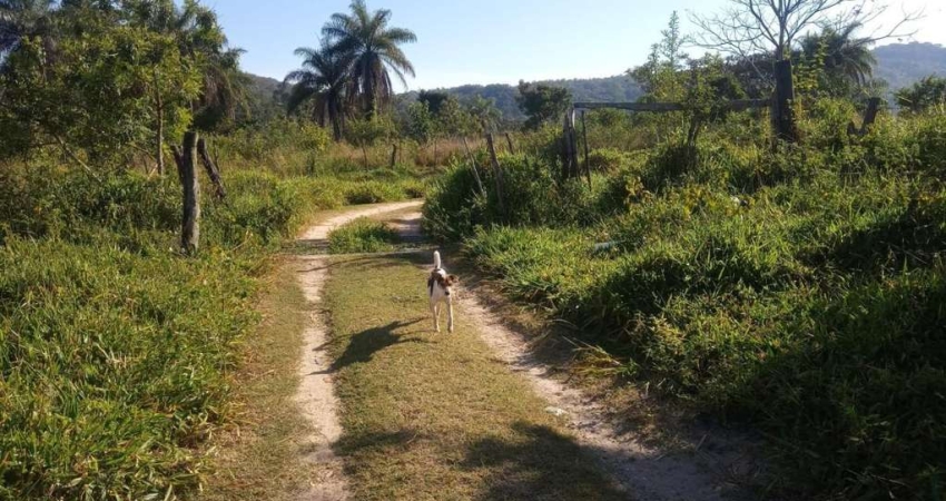 Fazenda para Venda em Cachoeira da Prata, Área Rural, 2 dormitórios, 1 banheiro