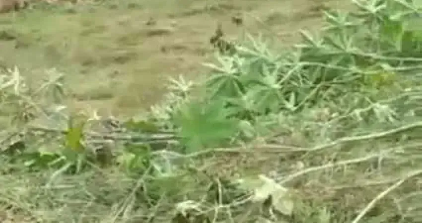 Terreno à venda no Novo Retiro, Esmeraldas 