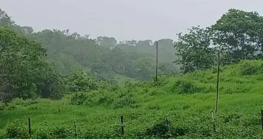 Fazenda para venda em jequitibá, área rural, 3 dormitórios, 1 banheiro