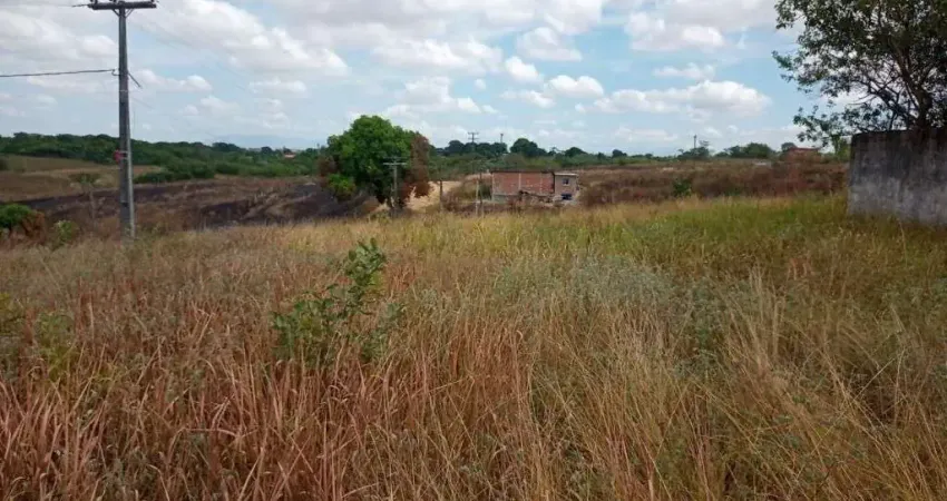 Terreno à venda, 1009 m² por R$ 100.000,00 - Jardim Califórnia - Araruama/RJ