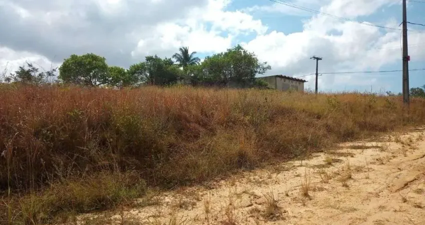 Terreno à venda, 504 m² por R$ 50.000,00 - Jardim Califórnia - Araruama/RJ