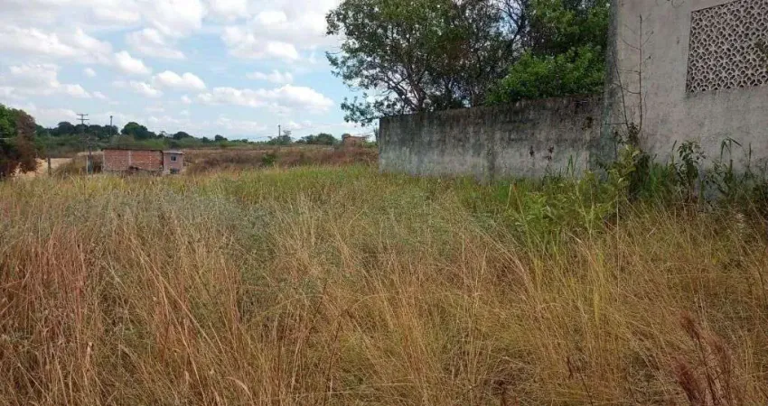 Terreno à venda, 504 m² por R$ 50.000 - Jardim Califórnia - Araruama/Rio de Janeiro