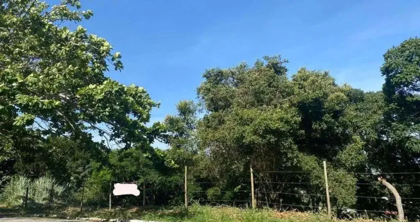 Terreno à venda, 176812 m² por R$ 700.000,00 - Altos de Búzios - Armação dos Búzios/RJ