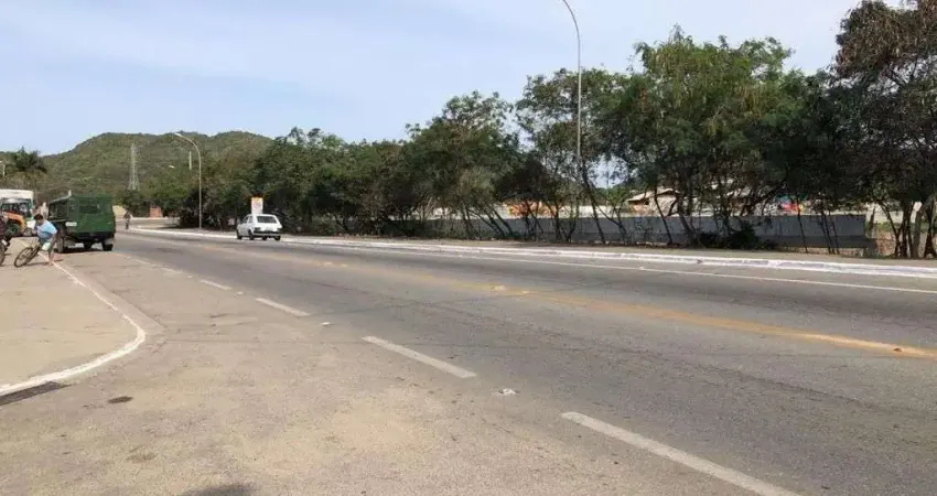 Terreno à venda, 209000 m² por R$ 35.000.000,00 - Ponta de Manguinhos - Armação dos Búzios/RJ
